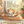 The Daily Purr | Decaffeinated Full Body Medium Roast Coffee Blend