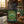 Lucky Paws | Medium Roast Irish Cream Flavored Coffee